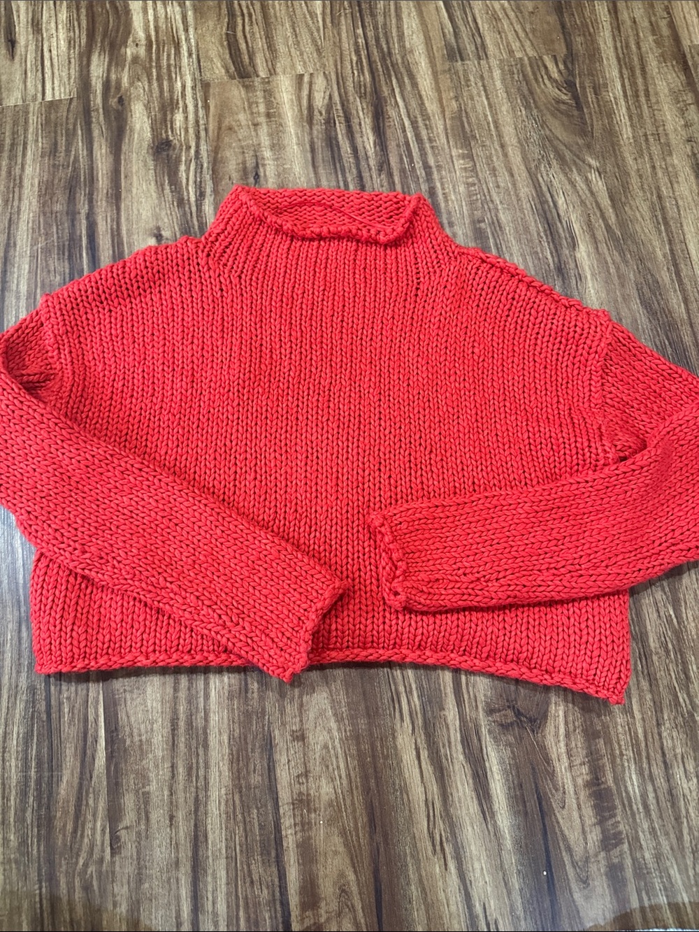 Free People Red Chunky Turtleneck Sweater